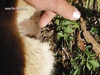 Gaybeast.Com Alpaca1 - Beastiality XXX Porn Tube