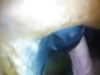 Gay Beast Com Anal And Creampie Gay Zoo Porn Petlust Men Fuck Animals