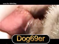 Gaybeast Rip Bang Fem Dog And Cum - Beastiality Sex Porn Movie