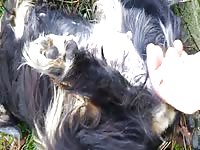 Gaybeast Rip Girl Fingered Gay Zoo Porn Petlust Men Fuck Animals