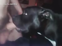 Gaybeast.Com Bj - Animal Sex Video