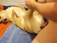 Gaybeast.Com Blond Lust Gay Zoo Porn Petlust Men Fuck Animals