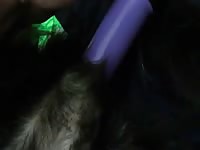 Gaybeast.Com Dog Vibrator Gay Zoo Porn Petlust Men Fuck Animals