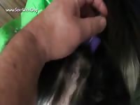 Gaybeast.Com Dog Vibrator - Bestiality Porn Tube