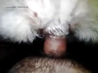 Gaybeast Enjoying A Beautiful Pussy 02 - Beastiality Sex Movie