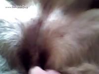Gaybeast.Com Fingering My Girl 2 - Beastiality Porn Video