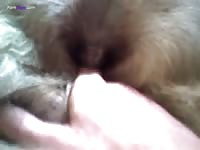 Gaybeast Rip Fingering My Girl 2