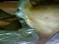 Gay Beast Com Fuck Dog - Beastiality Porn Movie
