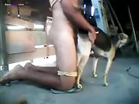 Gaybeast.Com Fuck That Woman