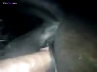 Gaybeast Fucking A Juicy Mare