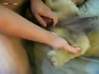Gay Beast Com Fucks Female Dog