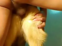 Gay Beast Com German Shepard Fun 1 Gay Zoo Porn Petlust Men Fuck Animals