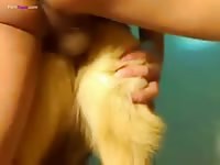 Gaybeast.Com German Shepard Fun 1