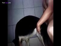 Gay Beast Com Gsd Gives 1324 And Gets Fucked