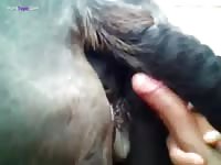 Gaybeast Rip Hardore Dog Pussy