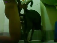 Gaybeast Rip He Need To Cum