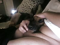 Gaybeast Hot Suck It Gay Zoo Porn Petlust Men Fuck Animals