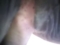 Gaybeast.Com I Fuck One Of My Mare Gay Zoo Porn Petlust Men Fuck Animals