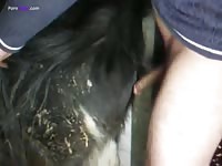 Gaybeast.Com I Fuck Tihs Pony