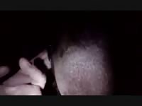 Gaybeast Licking And Fucking Mare Gay Zoo Porn Petlust Men Fuck Animals