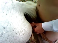 Gaybeast.Com Man And Mare 2