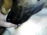 Gaybeast.Com Man Fingers Dog Gay Zoo Porn Petlust Men Fuck Animals