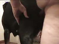 Gaybeast.Com Man Fucks A Dog