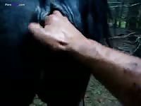 Gay Beast Com Mare Fist 22