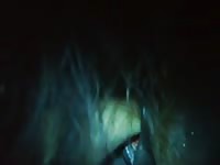 Gaybeast Mare Fist 3 D Gay Zoo Porn Petlust Men Fuck Animals
