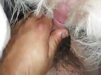Gay Beast Com Me And My Dog Gay Zoo Porn Petlust Men Fuck Animals