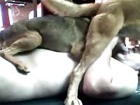 Gaybeast Men And Animals 1 Boy 2 Dog - Animal Sex