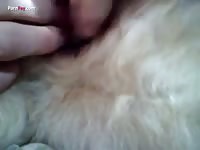Gaybeast.Com Men And Animals 1310 2795 - Beastiality XXX Sex
