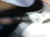 Gaybeast Rip Men And Animals 1560ing Inside - Bestiality Porn Video