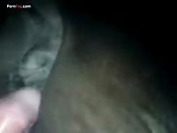 Gaybeast.Com Men And Animals 1795ing Mare - Animal Porn Video