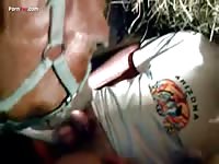 Gaybeast Rip Men And Animals 2104 Giving 2618 - Bestiality Porn