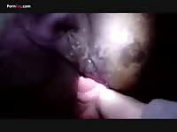 Gay Beast Com Men And Animals 2335 And 1795ing Mare - Bestiality Sex Tube