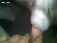 Gaybeast Rip Men And Animals 2795 1548 - Bestiality Porn