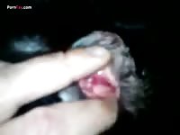 Gaybeast.Com Men And Animals 2795play - Bestiality Porn Movie