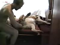 Gay Beast Com Men And Animals 2919 - Animal Porn Tube