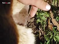 Gaybeast Men And Animals Alpaca1 - Animal Porn