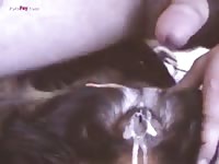 Gaybeast Men And Animals C2829y - Beastiality Sex