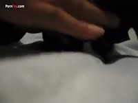 Gaybeast.Com Men And Animals Cat 2620 - Animal Porn