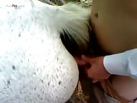 Gaybeast.Com Men And Animals Delicious Mare - Animal Porn