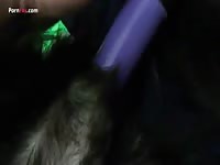Gaybeast Rip Men And Animals Dog Vibrator - Animal Sex