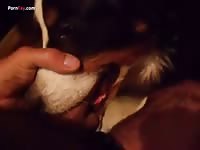 Gaybeast Rip Men And Animals Doggy 1324 - Zoo Xxx Porn Movie