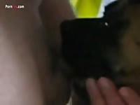 Gaybeast Rip Men And Animals Female Boxer Gives Head And Gets Laid - Bestiality Porn Movie