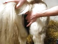 Gaybeast Rip Men And Animals Fingered Mare - Zoo Xxx Porn Movie