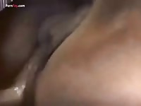 Gay Beast Com Men And Animals Great Mare - Beastiality XXX Sex