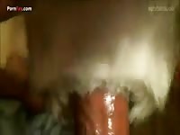 Gaybeast.Com Men And Animals Hincandole La Pinga - Animal Sex Tube
