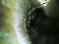 Gay Beast Com Men And Animals His 1310 His Wife - Zoo Xxx Sex Movie